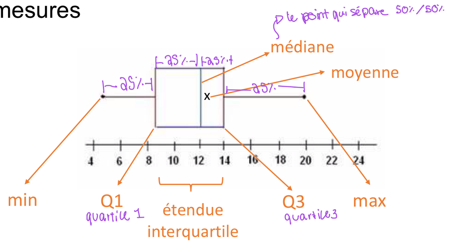 <p>Représentation graphique d'une distribution qui intègre différentes mesures<span>&nbsp; </span>→ facilite la comparaison des populations</p>