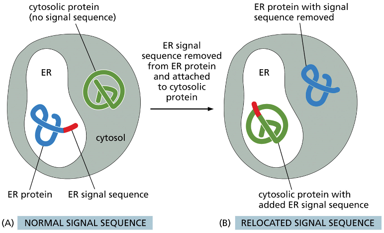 <p>describe what is happening here</p>