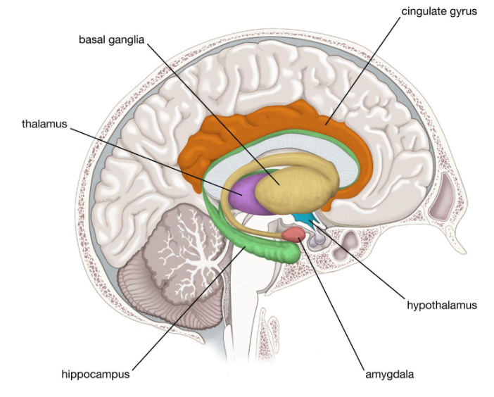 <p>what is this called?</p>