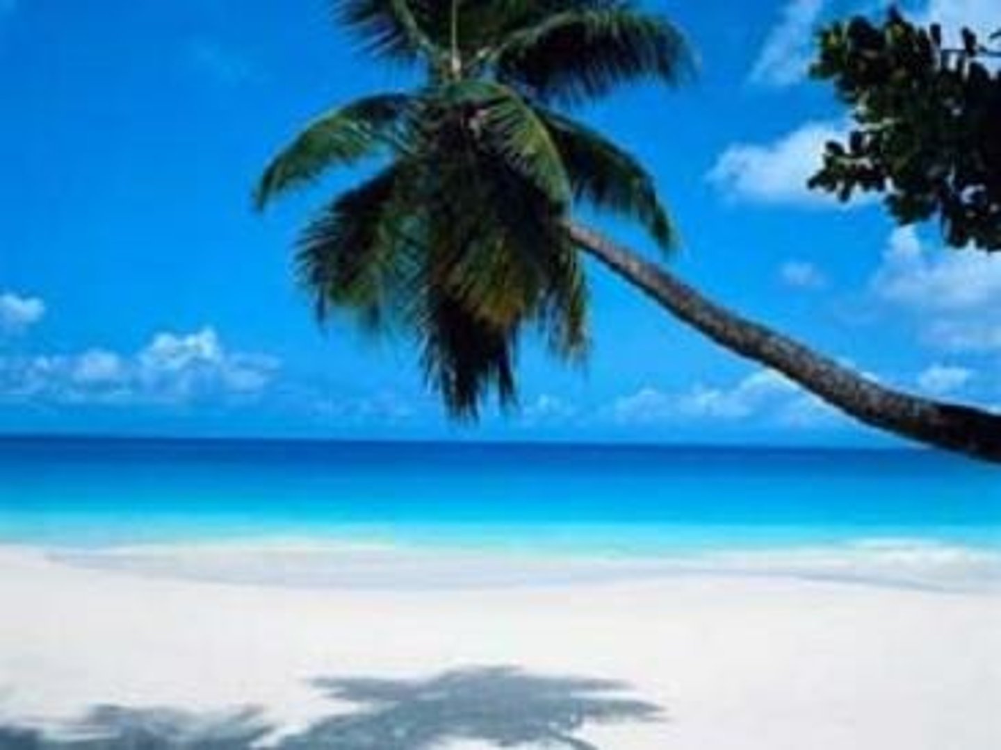 <p>beach</p>