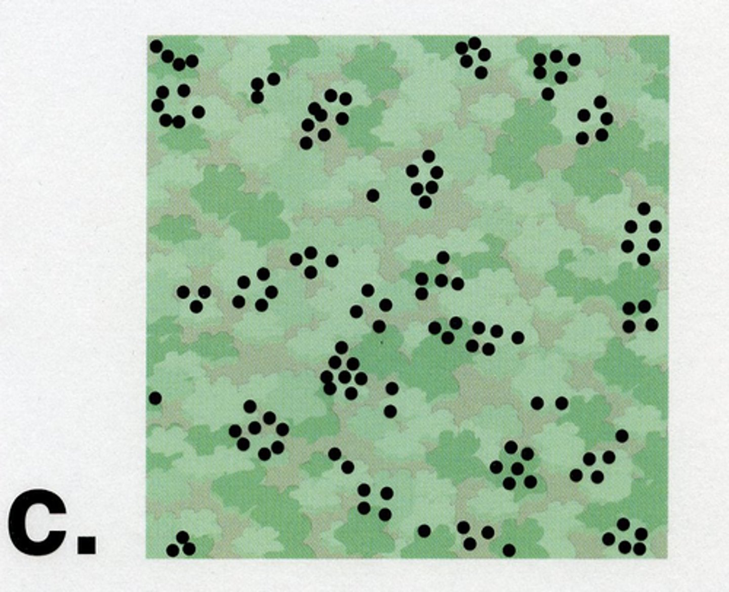 <p>usually occurs when resources are clumped</p>