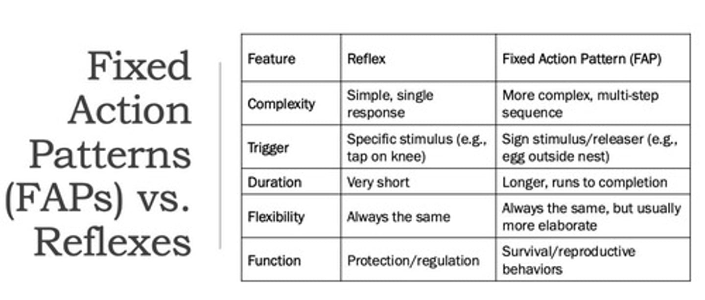 <p>Species-specific behaviors that must be completed.</p>