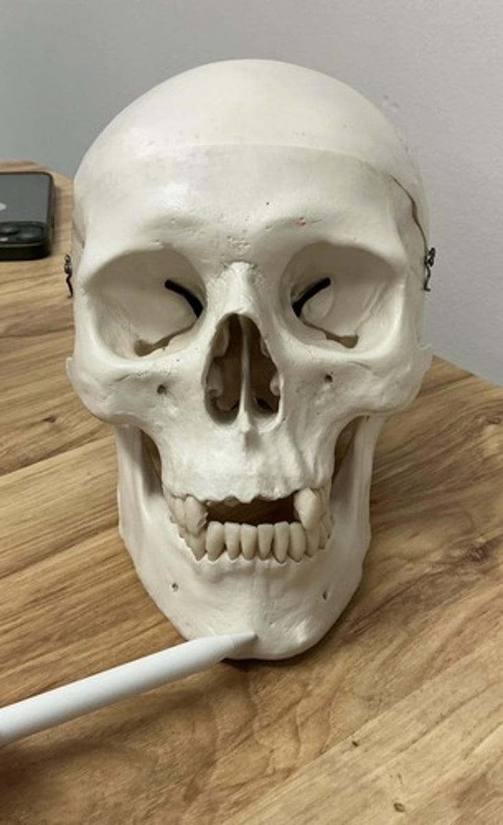 <p>What is being pointed to?</p>