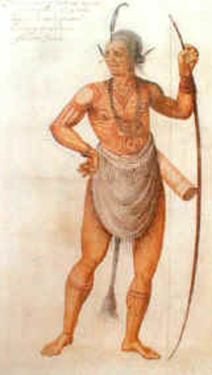<p>Virginia Indians made their clothing from...</p>