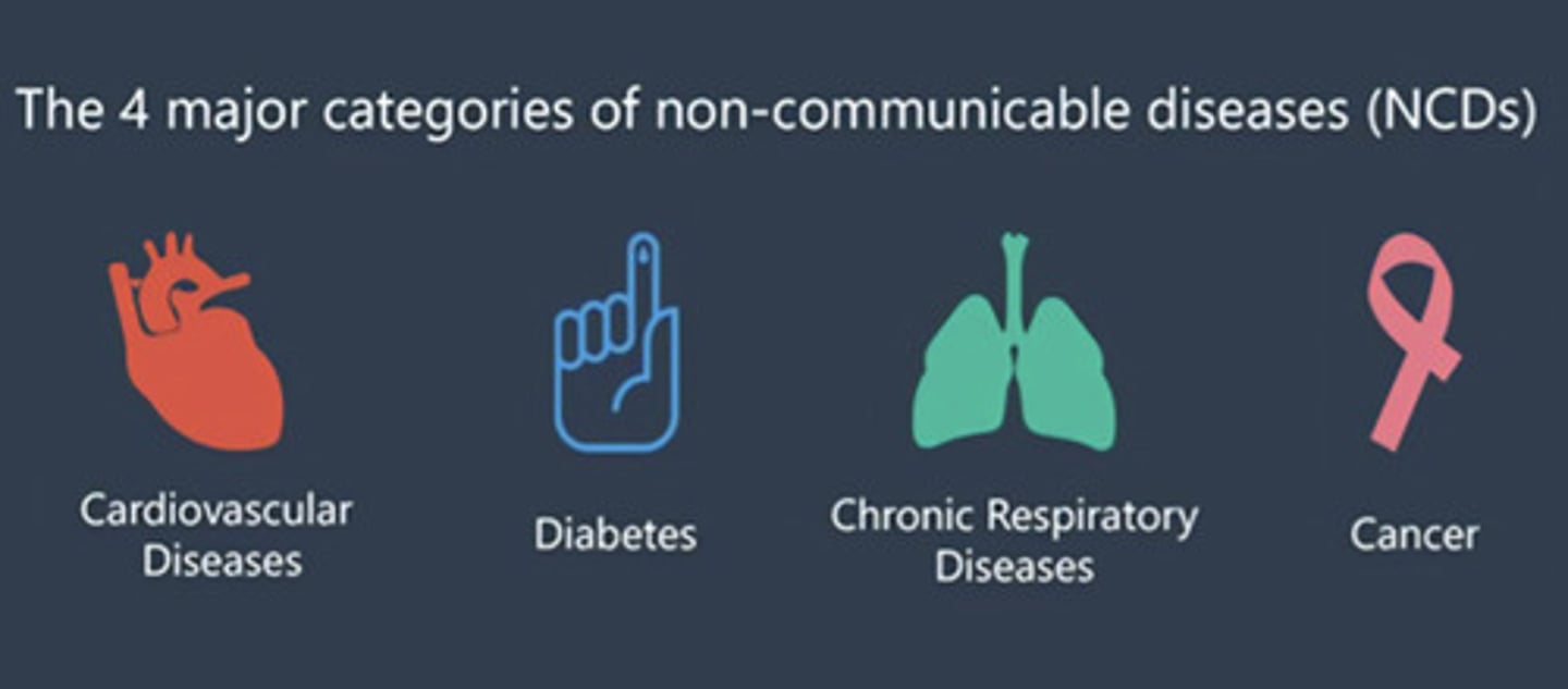 <p>1. Cardiovascular diseases</p><p>2. Cancers</p><p>3. Chronic respiratory diseases</p><p>4. Diabetes</p>