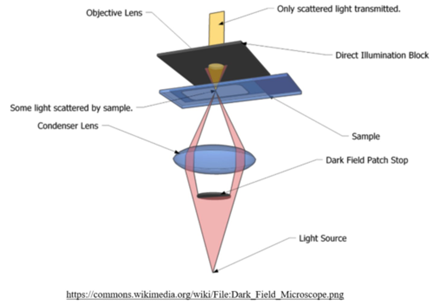 <p>dark field optical microscopy</p>