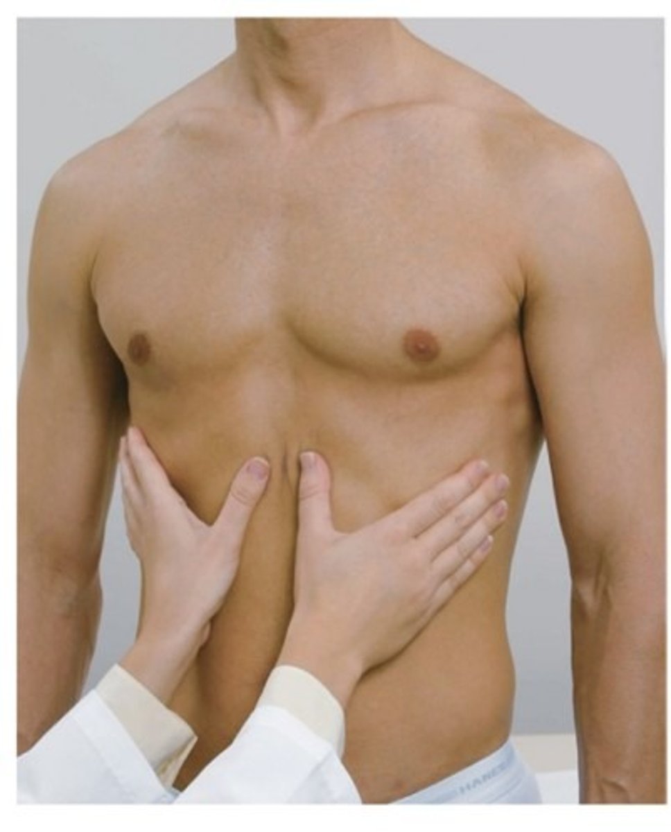 <p>1. place hands on anterior chest wall with thumbs along costal margins and pointing inward towards the xyphoid process<br>2. ask patient to take a deep breath<br>3. watch thumbs move apart symmetrically and note smooth expansion</p>