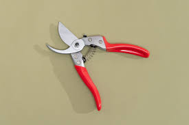 <p>pruner</p>