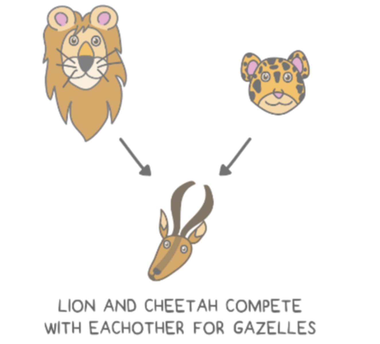 <p>exploitation competition</p>