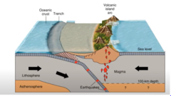 -> <-
subduction zone: the older, denser plate subducts under the younger plate, forming mountains and trenches
when the older plate goes under, the mantle melts it, creating magma, which rises and erupts (volcanoes)
leads to volcanoes