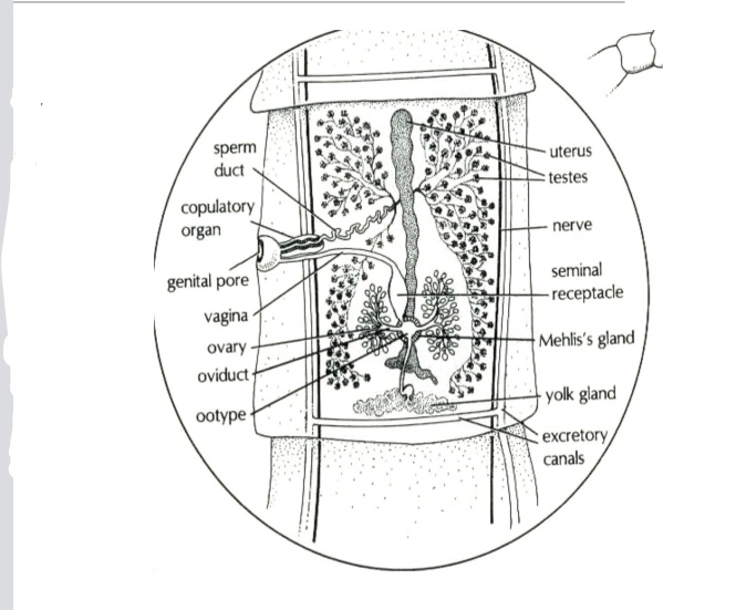 <p>What does this image show?</p>