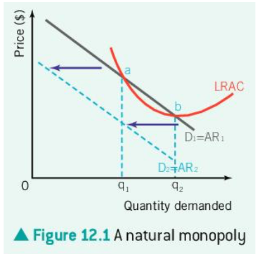 <p>this is the scenario where another firm joins a natural monopoly, if this happens </p>