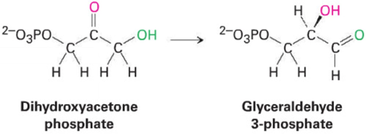 <p>These involve the redistribution of electrons within a single molecule to change its structure without changing its formula (isomerization) or removing atoms to form double bonds (elimination).</p><p>Key Indicator: The molecular formula typically stays the same, but functional groups move to different carbons</p>