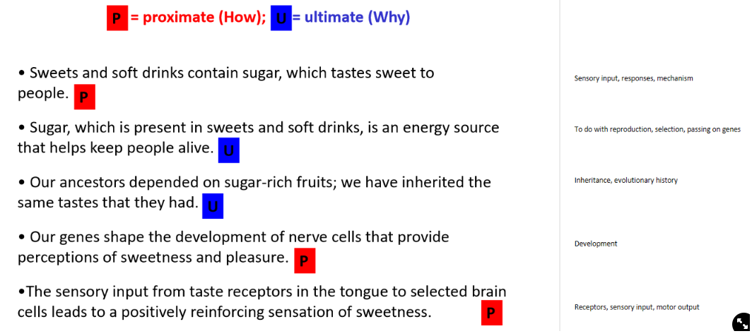 <ul><li><p>looking at the proximate and ultimate reasons:</p></li></ul>