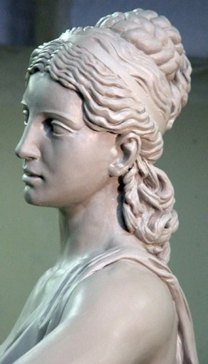<p>virginis, vr.: maagd, meisje</p>
