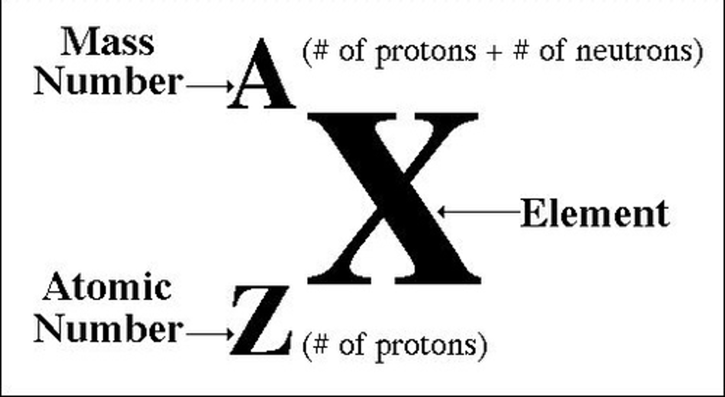 <p>atomic/Z# = #protons<br>mass# = atomic weight = #protons+#neutrons</p>