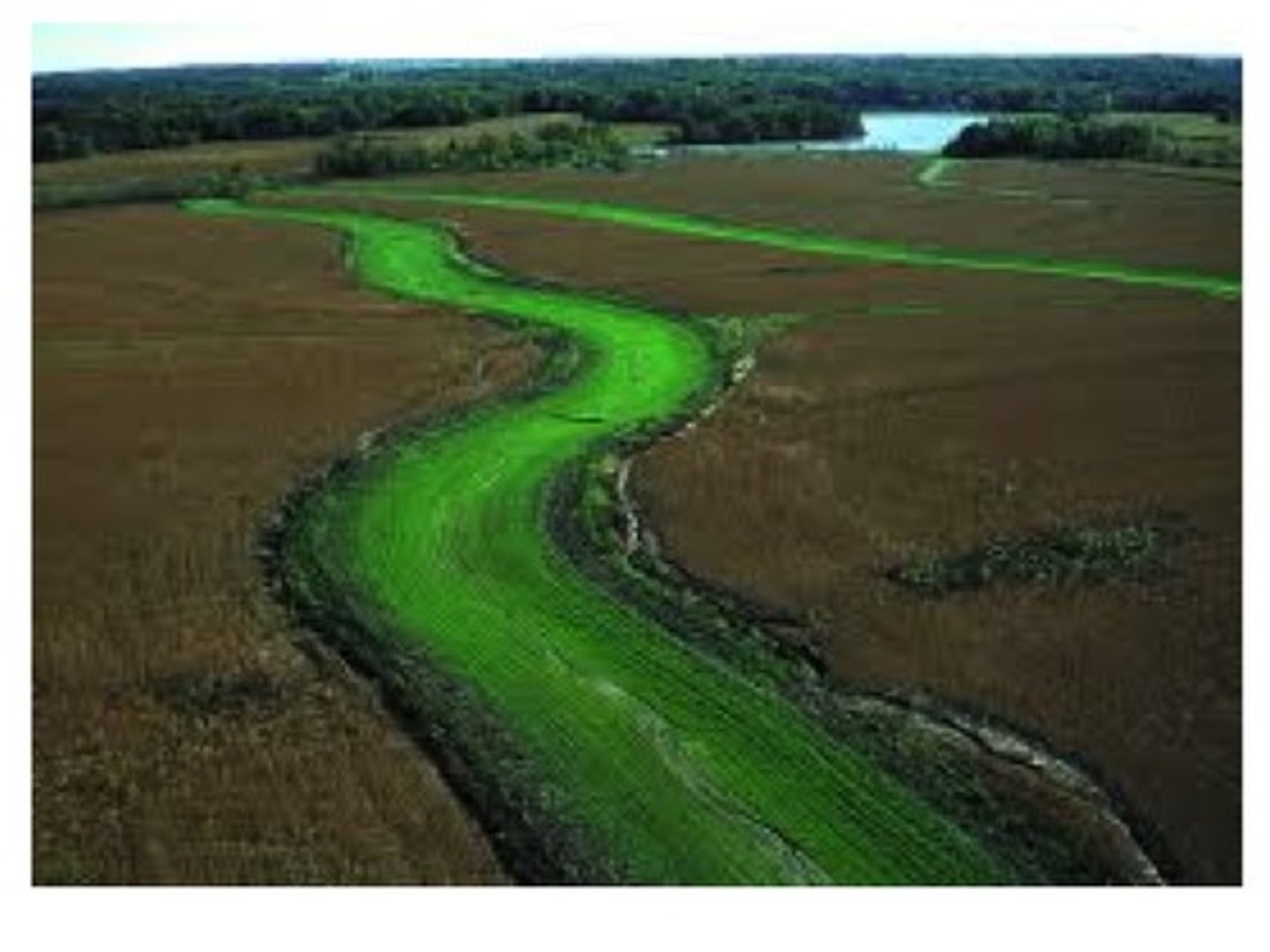 <p>Channels lined with vegetation</p><p>Reduces gully erosion</p><p>Stable, nonerosive outlet for water</p><p>Sediment reduction</p>