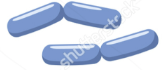 <p>Morphology name</p>