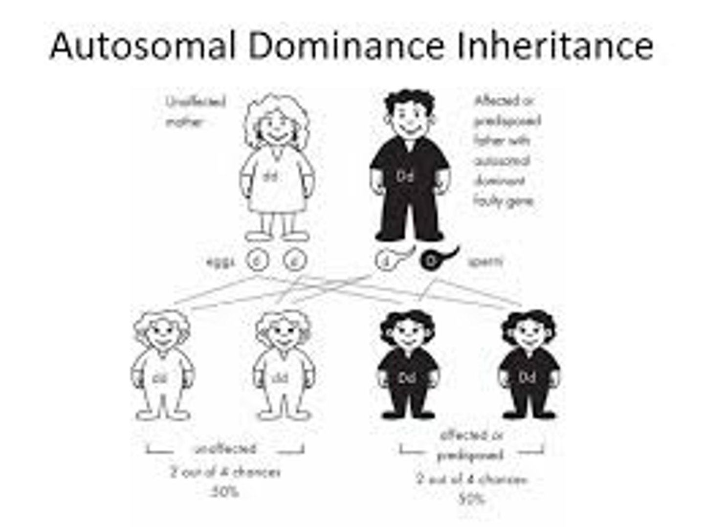 <p>A pattern of inheritance in which the phenotypic effect of one allele is completely expressed within a homozygous and heterozygous genotype.</p>