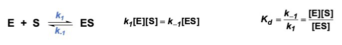 <p>Assume P is produced more slowly than ES dissociates; meaning k<sub>2</sub>«k<sub>-1</sub> and that ES formation reaches equilibrium quickly</p>
