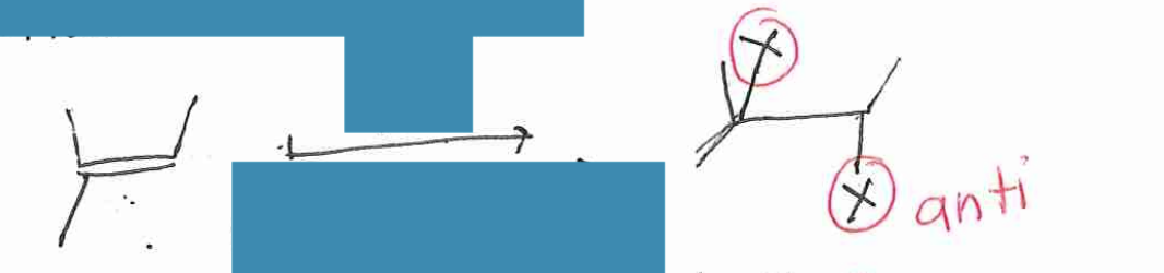 <p>Anti</p>