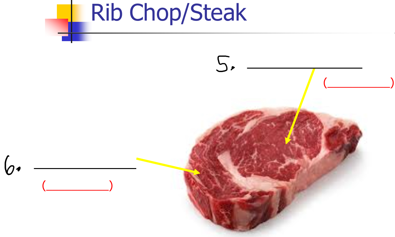 <p>Label 6-</p>