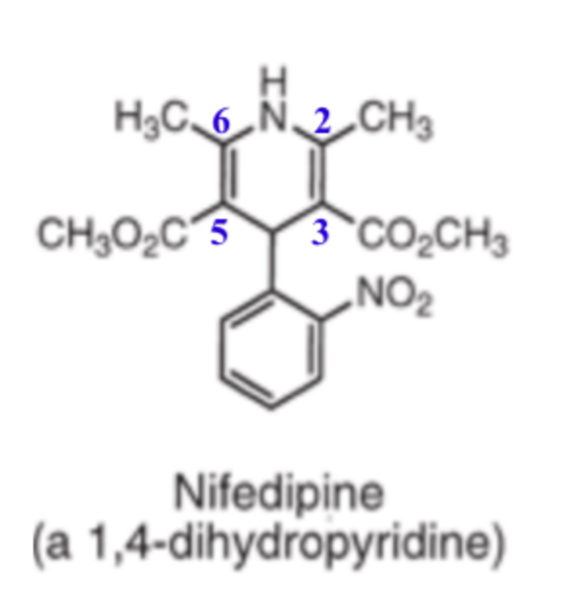 <p>- dihydropyridine</p>