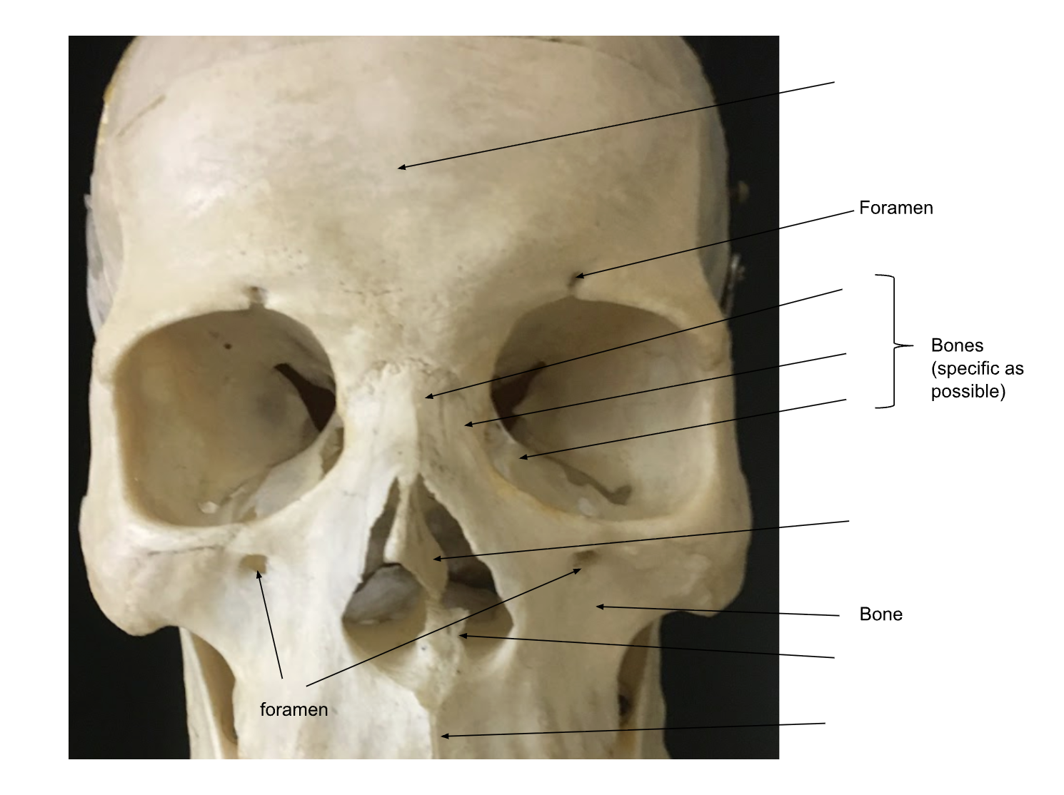 <ol><li><p></p></li><li><p></p></li><li><p></p></li><li><p></p></li><li><p></p></li><li><p></p></li><li><p></p></li><li><p></p></li><li><p></p></li><li><p></p></li></ol><p></p>