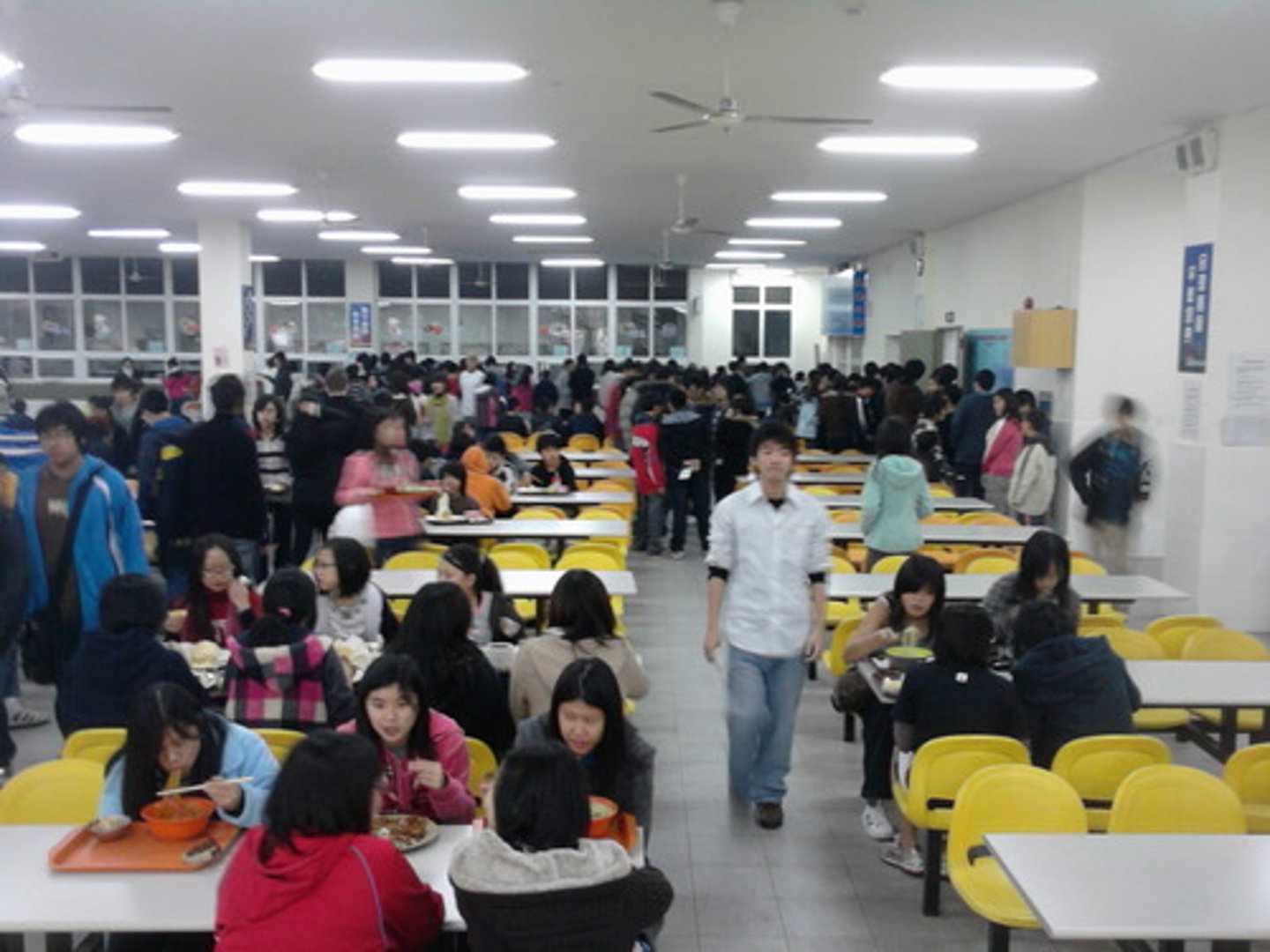 <p>the cafeteria</p>