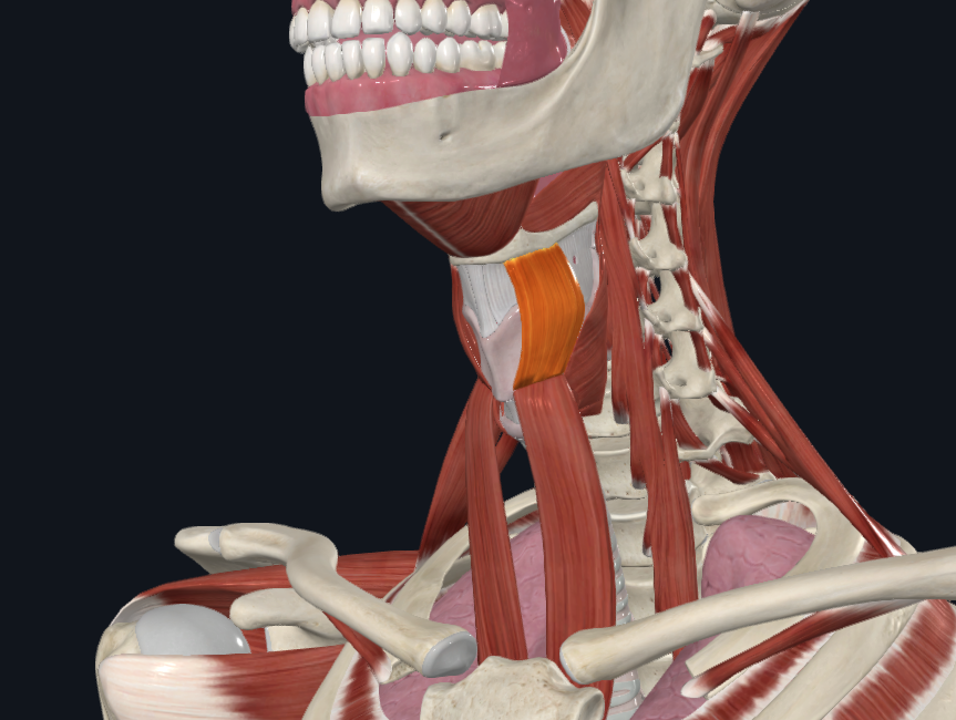 <p>What is highlighted</p>