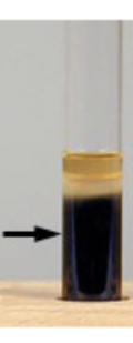 <p>Sulfur reaction results</p>