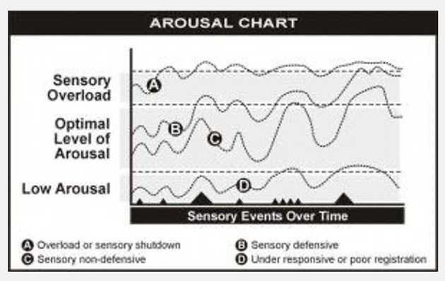 <p>Represents typical relationships between an individuals’ sensory processing and their arousal </p>