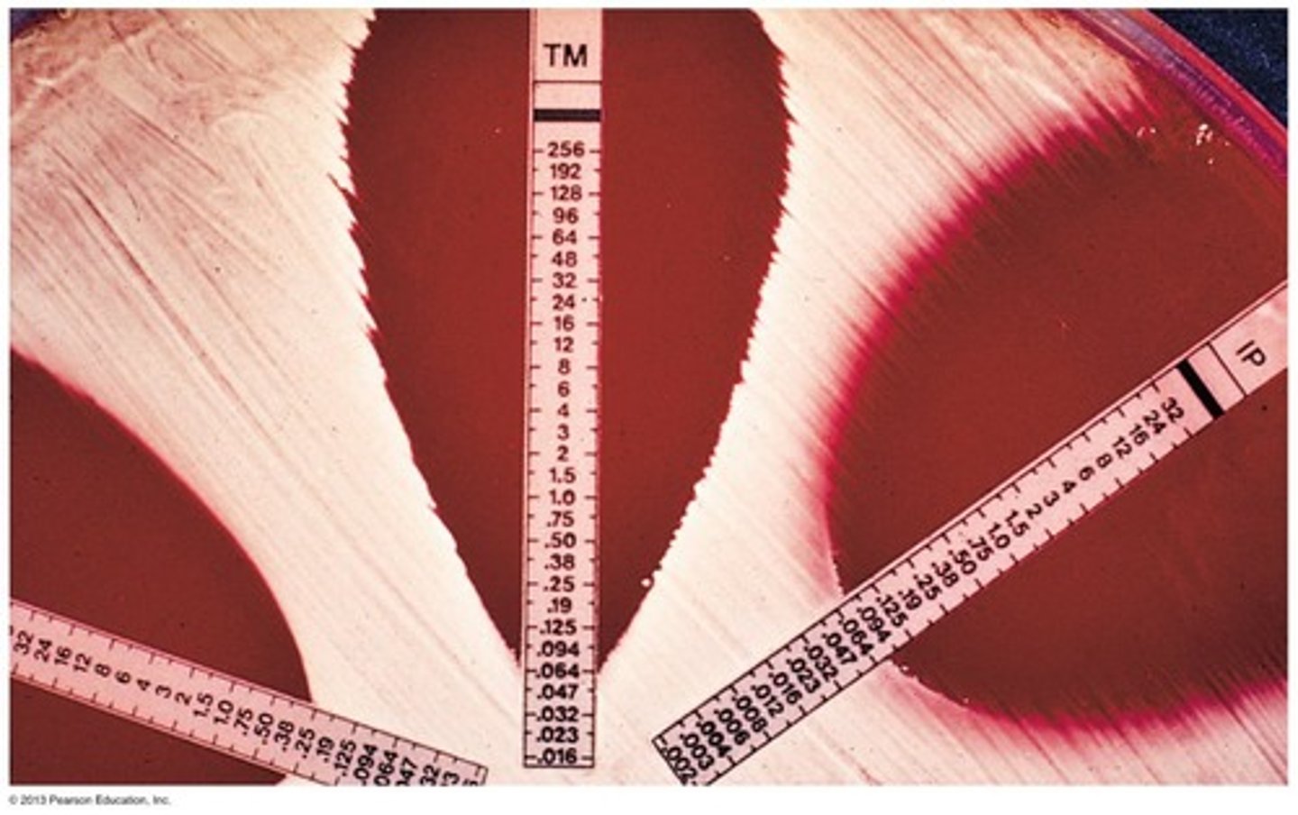 <p>A test used to identify antibiotic susceptibility.</p>