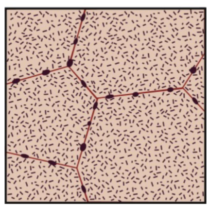 <p>cool slowly.</p><p>initially, CuAl<sub>2</sub> precipitates tend to form on grain boundaries first (from there more rapidly). Diffusion is faster along grain boundaries leading to larger precipitates. </p><p>In the bulk of the grains, there is a much lower diffusion rate and nucleation occurs later because there is a barrier towards formation more inside the grains than elsewhere. Nucleation rate will be high and the growth rate slow, leading to widely dispersed, very small precipitates</p>