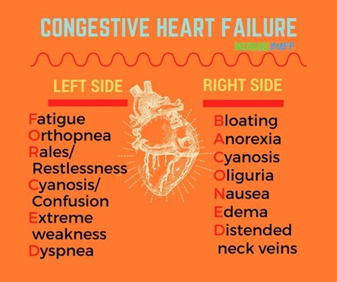 <p>shortness of breath (especially with activity or lying down), fatigue, rapid/irregular heartbeat, and swelling (edema) in the legs, ankles, or abdomen</p>