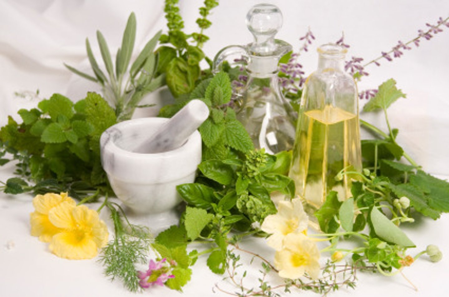 <p>complementary and alternative medicine</p>