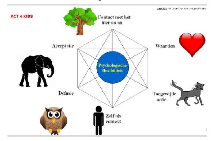 <p>Hexaflex model voor kinderen.</p><ol><li><p>Contact met hier en nu → Boom</p><ul><li><p>staat stevig in de aarde, speelt in op zintuigen, staat voor hier en nu.</p></li></ul></li><li><p>Waarden → Hart</p><ul><li><p>waar gaat je hart sneller van kloppen?</p></li><li><p>doel in therapie.</p></li></ul></li><li><p>Toegewijde actie → Kat</p><ul><li><p>doen wat ze willen, om te krijgen wat ze willen.</p></li></ul></li><li><p>Zelf als context → Poppetje</p><ul><li><p>dat ben jij en daar blijft het bij.</p></li></ul></li><li><p>Acceptatie → Olifant</p><ul><li><p>heel sterk, kan veel dragen.</p></li></ul></li><li><p>Defusie → Uil</p><ul><li><p>is vaak erg wijs, maar heeft ook wat kletspraat.</p></li><li><p>staat voor fijne gedachten, maar kan ook te veel om je hoofd vliegen waardoor je alleen nog de uil ziet.</p></li></ul></li></ol><p></p>