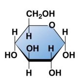 <p>What is this?</p>