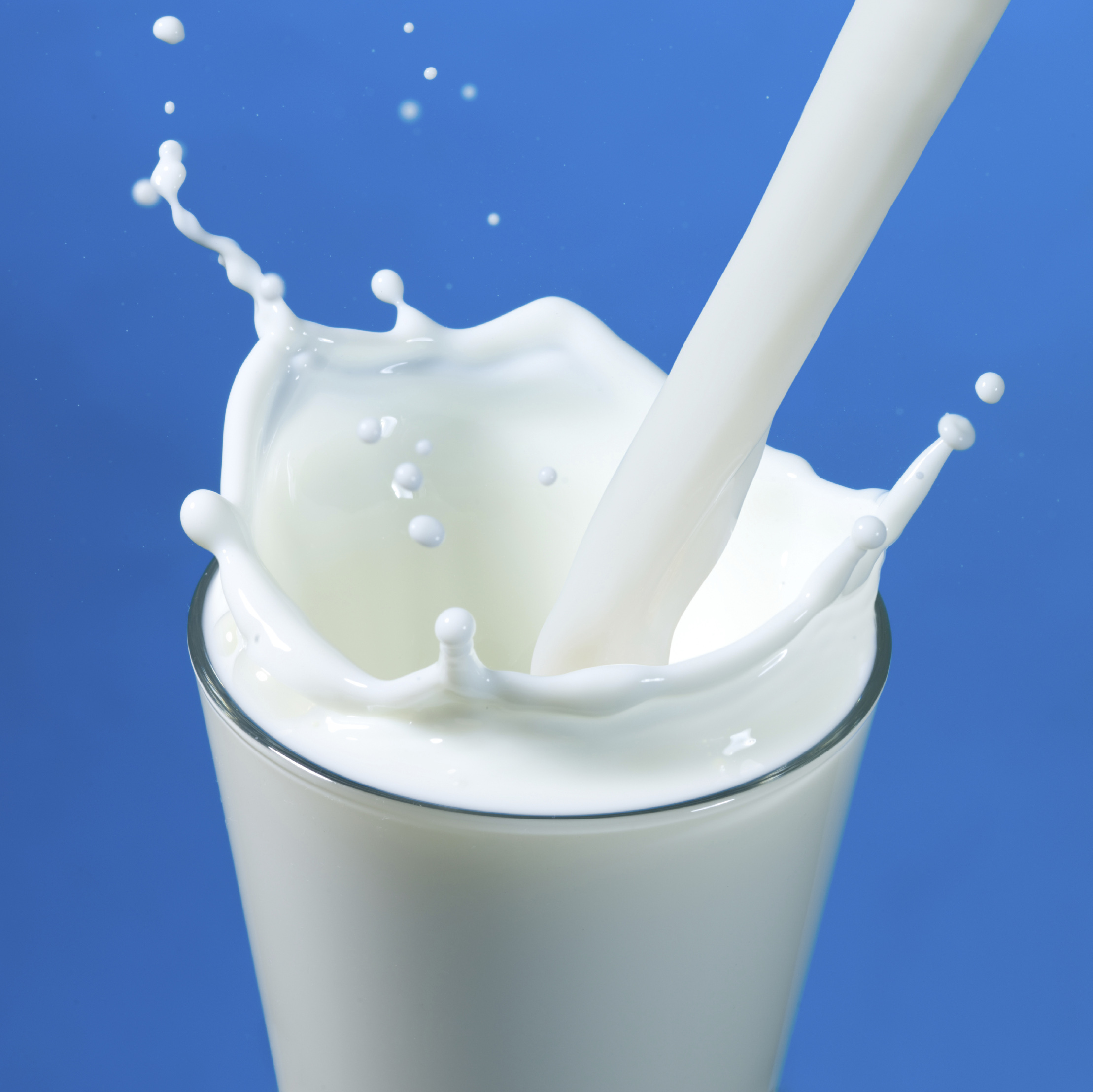 <p>milk</p>