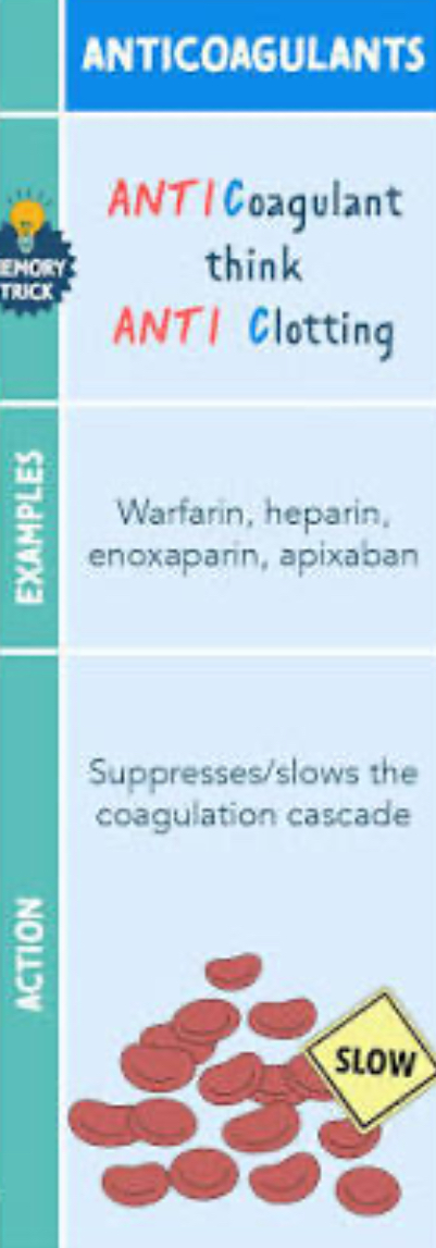 <p>-arin , -xaban</p>