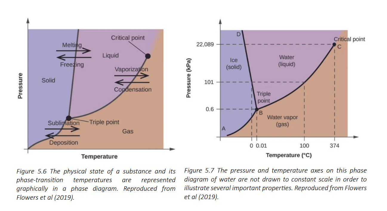 <ul><li><p>liquid-vapour curve </p><ul><li><p>separates the liquid and gaseous regions of the phase diagram and provides the boiling point at any pressure</p></li></ul></li><li><p>solid-vapour curve</p><ul><li><p>indicates the temperatures and pressures at which ice and water vapour are in equilibrium (as shown in fig 5.7)</p></li><li><p>corresponds to the sublimation/deposition points for water</p></li></ul></li><li><p>solid-liquid curve</p><ul><li><p>shows the temperatures and pressures at which ice and liquid water are at equilibrium</p></li><li><p>represents the melting/freezing point of water</p></li></ul></li><li><p>critical point</p><ul><li><p>this is the point of intersection of all three curves</p></li><li><p>at this point all three phases coexist in equilibrium</p></li><li><p>at pressures lower than the triple point, water cannot exist as a liquid, regardless of the temperature</p></li></ul></li></ul><p></p>
