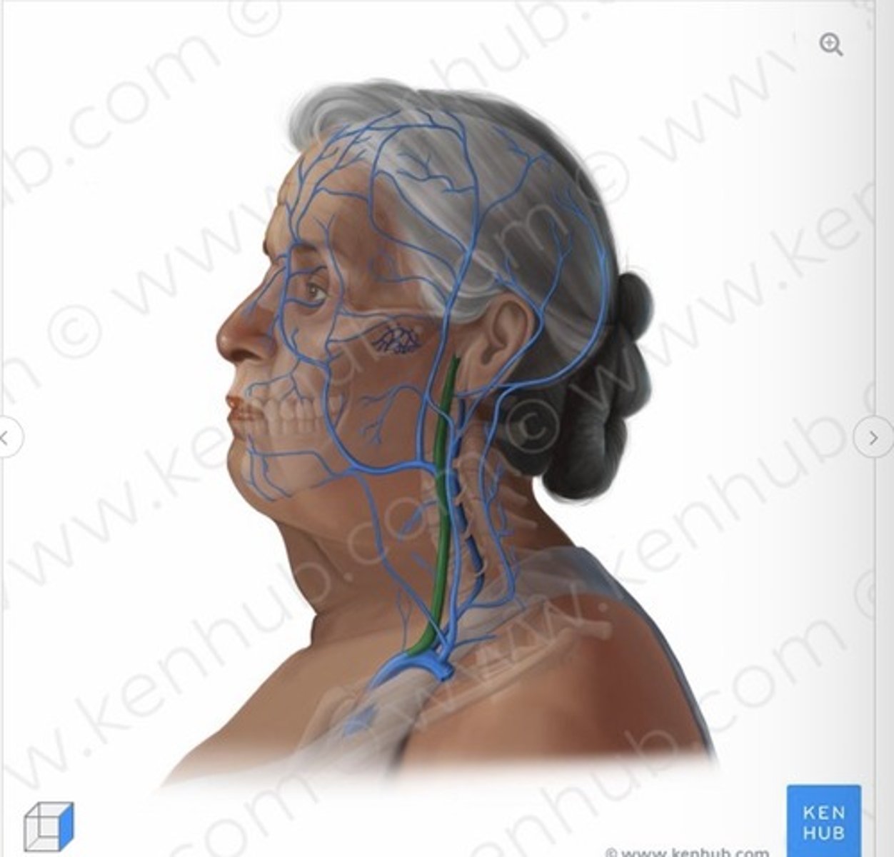 knowt flashcard image