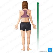 <p>a position that is above or higher than another part of the body</p>