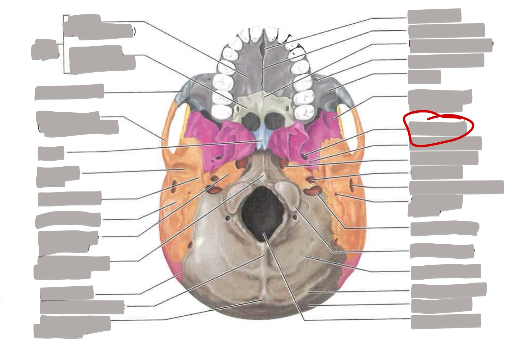 term image