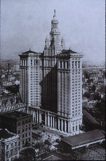 term image