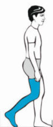<p>What muscles are used in preswing</p>