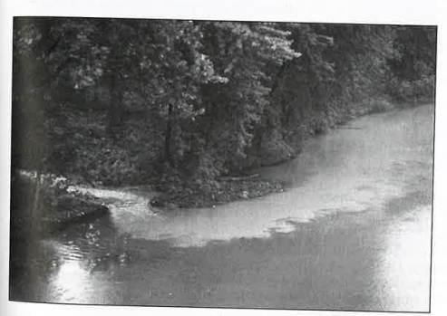 <p><span style="font-family: Aptos, sans-serif"><strong>What is the cause of the stream discoloration in the image:</strong></span></p>