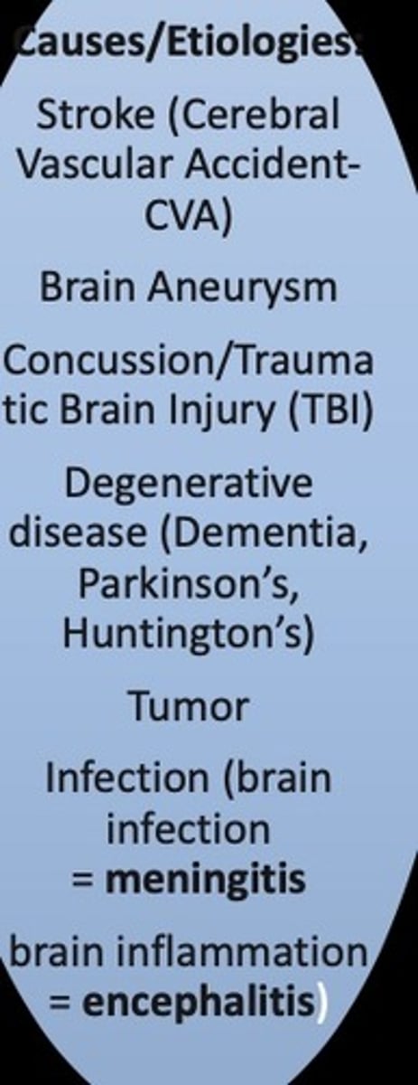 <p>A range of possible conditions (any brain injury) that can cause damage to the right cerebral hemisphere</p>