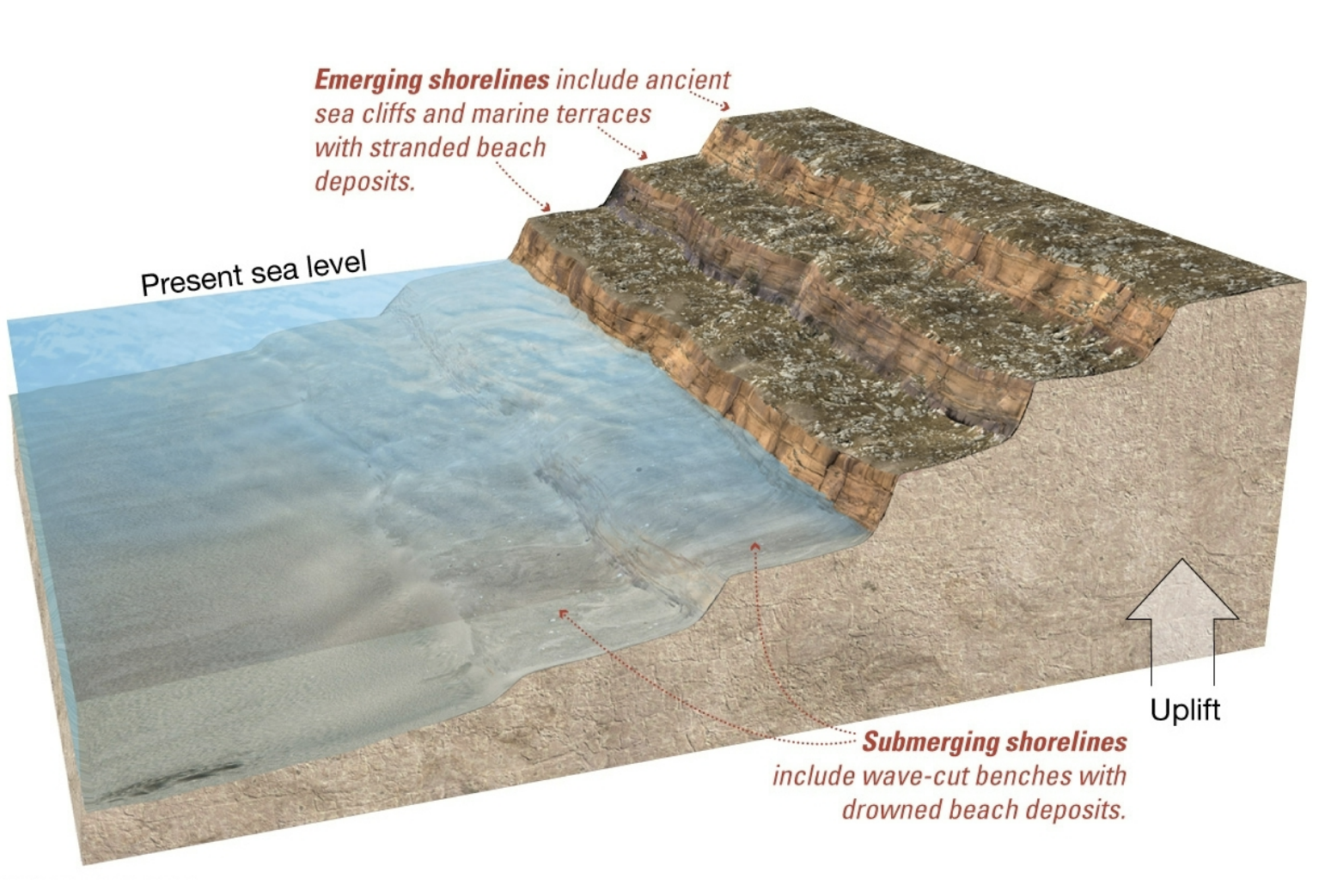 <p>stranded beach deposits at diff levels</p>