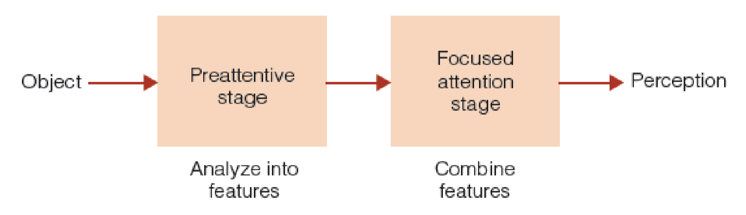 <p><span>Feature Integration Theory</span></p>